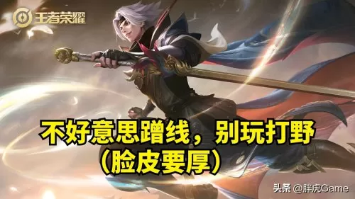 王者荣耀奇葩打野阵容搭配　扁鹊打野-第3张