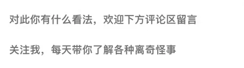 超级人类最佳阵容搭配推荐　世界最佳阵容-第10张