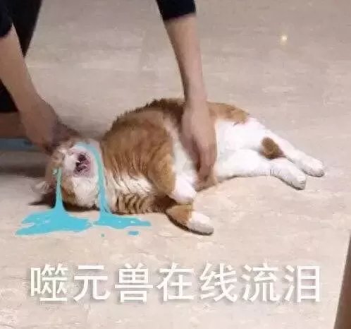 魔镜物语水火阵容搭配技巧　魔镜物语比较强的阵容-第38张