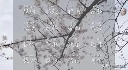 闪烁之光英雄主要搭配阵容　闪烁之光值得培养的英雄-第4张