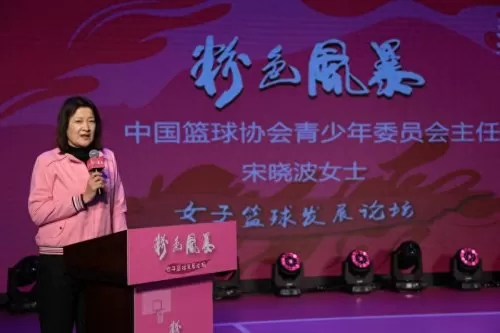 粉色风暴篮球推荐阵容搭配　粉色风暴-第2张
