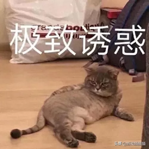 雨中冒险剑圣搭配阵容推荐　雨中冒险2-第1张