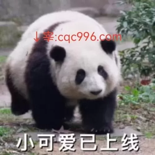 觉醒战士阵容装备搭配最新　觉醒战士-第1张