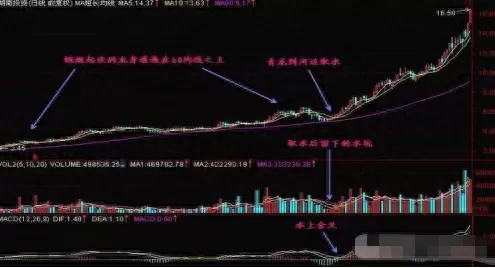 青龙经典战法搭配阵容推荐　青龙阵图-第1张