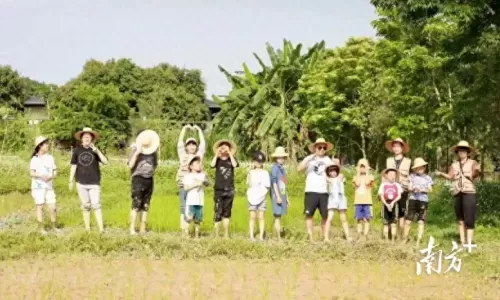 超能世界龙凤阵容搭配推荐　超能继承者平民攻略-第4张
