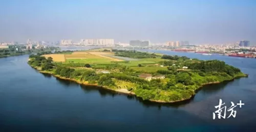 超能世界龙凤阵容搭配推荐　超能继承者平民攻略-第5张