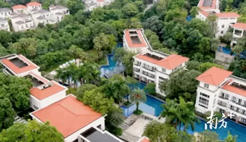 超能世界龙凤阵容搭配推荐　超能继承者平民攻略-第25张