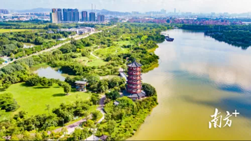 超能世界龙凤阵容搭配推荐　超能继承者平民攻略-第26张