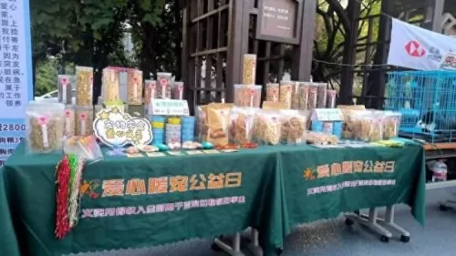萌宠星球搭配推荐阵容最新　萌宠觉醒碎片哪里看-第7张