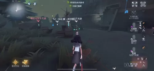 闪现女巫阵容怎么搭配最好　女巫蓝胖-第4张