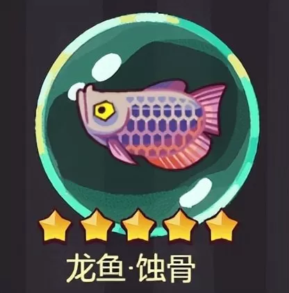 珍珠钻石复刻推塔阵容搭配　复刻珍珠钻石-第5张