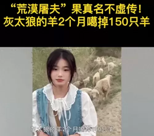 荒漠屠夫阵容搭配推荐图片　荒漠屠夫出装2021-第1张