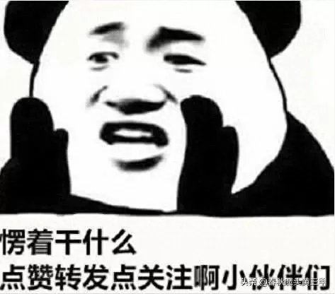雪中刺客推荐阵容搭配平民　拳魂觉醒平民最适合阵容-第9张