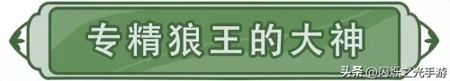闪烁之光最强阵容搭配狼王　闪烁之光狼王攻略-第1张