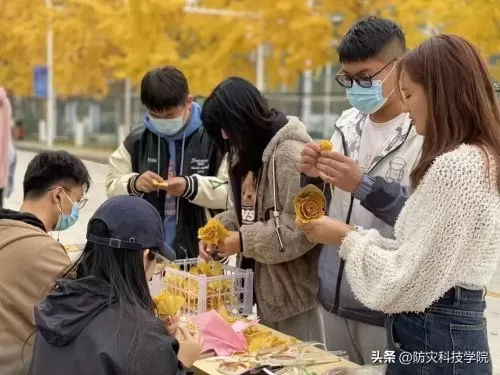 神奇宝贝花束推荐阵容搭配　神奇宝贝火系精灵排行-第7张