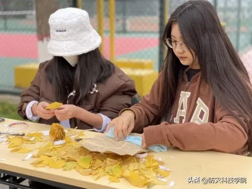 神奇宝贝花束推荐阵容搭配　神奇宝贝火系精灵排行-第6张