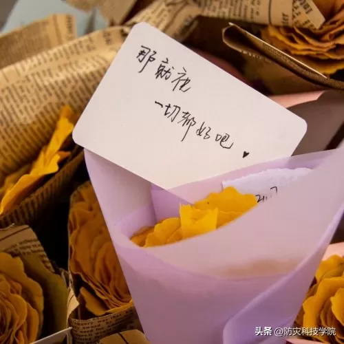 神奇宝贝花束推荐阵容搭配　神奇宝贝火系精灵排行-第8张