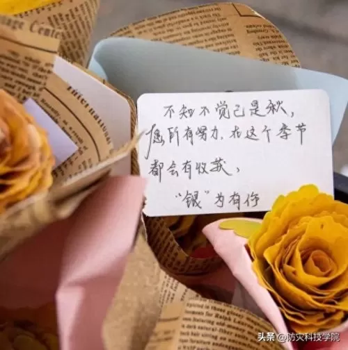 神奇宝贝花束推荐阵容搭配　神奇宝贝火系精灵排行-第9张