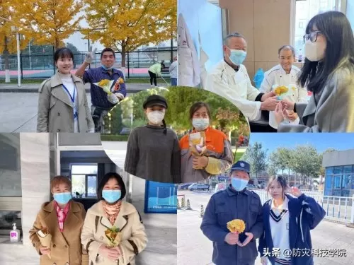 神奇宝贝花束推荐阵容搭配　神奇宝贝火系精灵排行-第15张