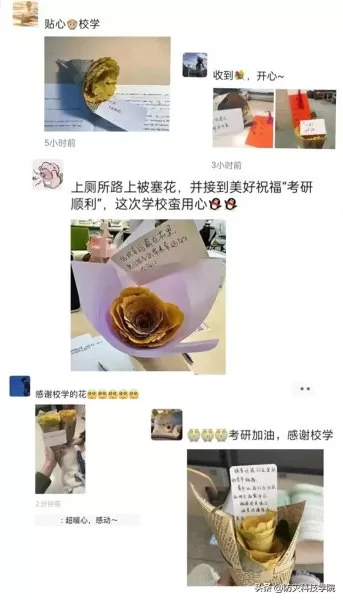 神奇宝贝花束推荐阵容搭配　神奇宝贝火系精灵排行-第16张