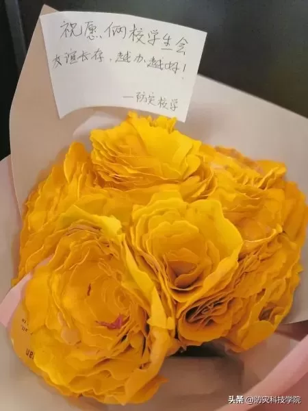 神奇宝贝花束推荐阵容搭配　神奇宝贝火系精灵排行-第17张