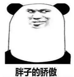 虎狼阵容搭配推荐图解视频　云顶阵容推荐-第14张