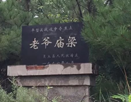 部落冲突神鹰阵容搭配攻略　部落冲突八本最强阵型-第2张