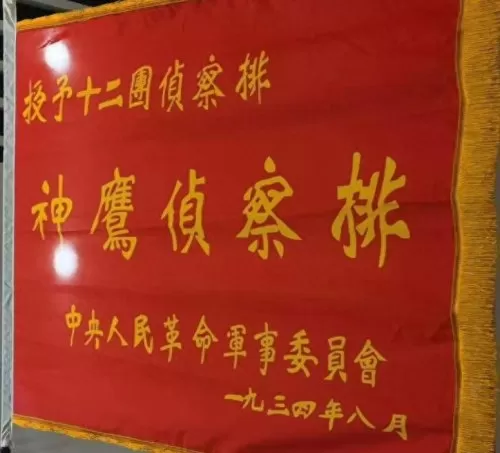 部落冲突神鹰阵容搭配攻略　部落冲突八本最强阵型-第1张