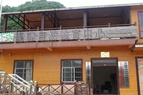 青草队阵容搭配攻略图最新　剑与远征光耀队阵容-第2张