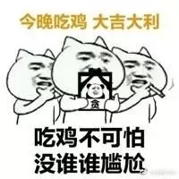 荒野行动奇葩阵容搭配推荐　荒野行动什么时候出的-第20张