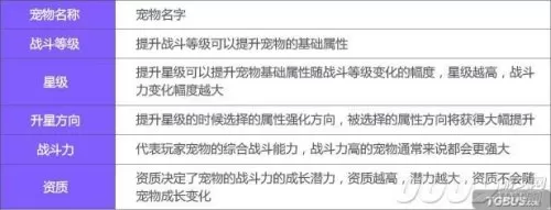 飞车宠物对战攻略　QQ飞车宠物对战最强阵容排列-第7张