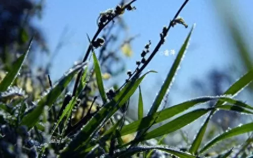 龙门客栈李复斗酒　斗酒怎么个斗法-第12张