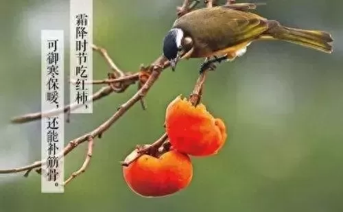 龙门客栈李复斗酒　斗酒怎么个斗法-第18张