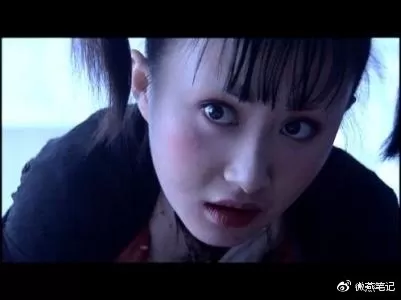 龙之传奇刘亦菲　刘亦菲传奇怎么样-第6张