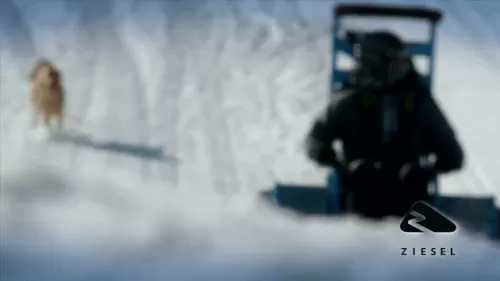 雪地大逃亡跑跑攻略　雪地逃生在线观看-第30张