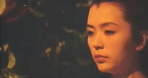 邵氏电影天龙八部无删减　邵氏最颜色程度10颗星的名字-第13张