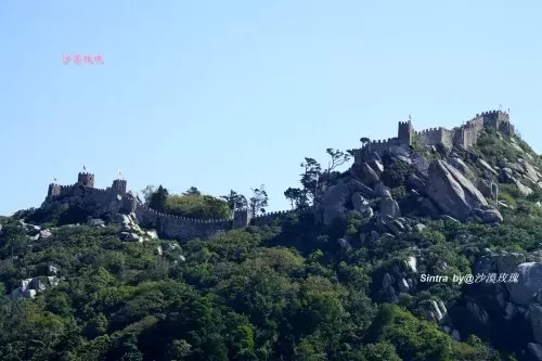 摩尔庄园建筑师攻略　摩尔庄园骑士怎么不开放了-第20张