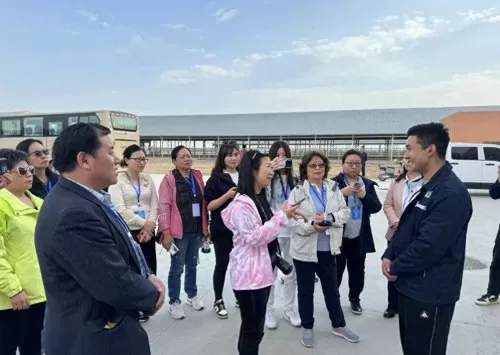 我的世界十大神秘之地　我的世界20种神秘建筑-第3张