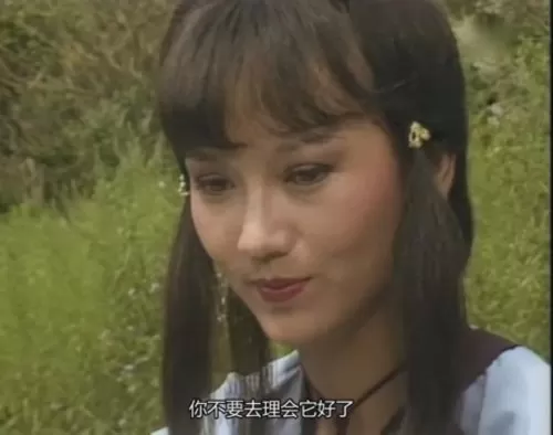 魔域桃源电视剧20集　魔域桃源电视剧国语-第11张