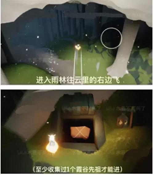 光遇雨林小金人位置　光遇小金人全图位置攻略-第1张