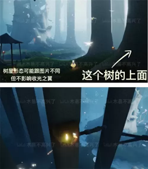 光遇雨林小金人位置　光遇小金人全图位置攻略-第2张