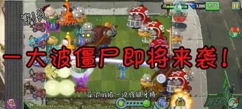植物大战僵尸怎么玩隐藏关卡　植物大战僵尸晴天攻略-第1张