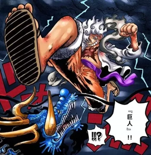 海贼王天龙人是什么设定　神圣骑士团的主要设定-第15张