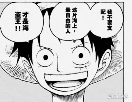 海贼王天龙人是什么设定　神圣骑士团的主要设定-第16张