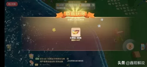 摩尔庄园白色浆果有几处　摩尔庄园食用浆果怎么获得-第8张