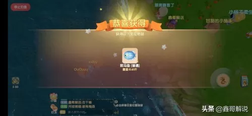 摩尔庄园白色浆果有几处　摩尔庄园食用浆果怎么获得-第30张