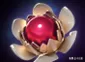 dota灰烬之灵大招　dota2 灰烬之灵-第27张