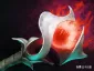 dota灰烬之灵大招　dota2 灰烬之灵-第26张