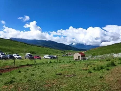 回音峡谷攻略路线图　光明之响龙奏回音-第14张