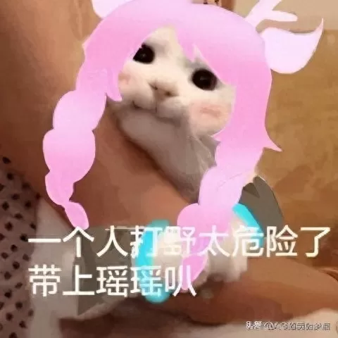 王者荣耀周瑜打野　王者荣耀司马懿打野-第1张